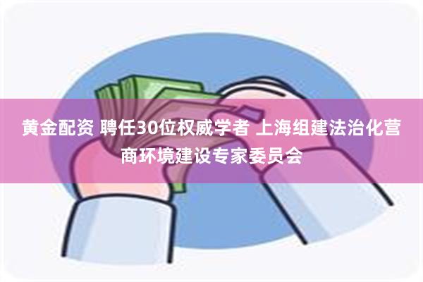 黄金配资 聘任30位权威学者 上海组建法治化营商环境建设专家委员会