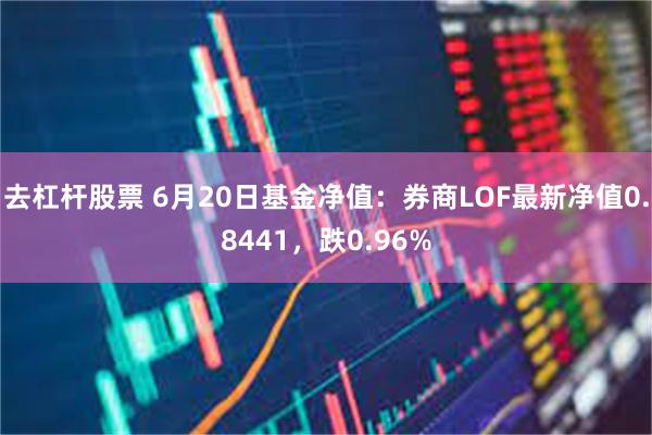 去杠杆股票 6月20日基金净值：券商LOF最新净值0.8441，跌0.96%