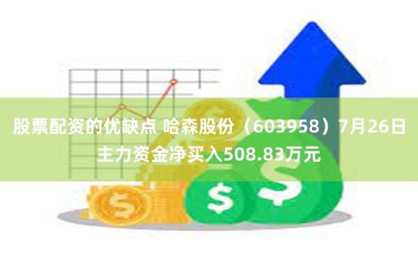 股票配资的优缺点 哈森股份（603958）7月26日主力资金净买入508.83万元