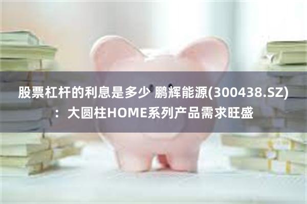 股票杠杆的利息是多少 鹏辉能源(300438.SZ)：大圆柱HOME系列产品需求旺盛