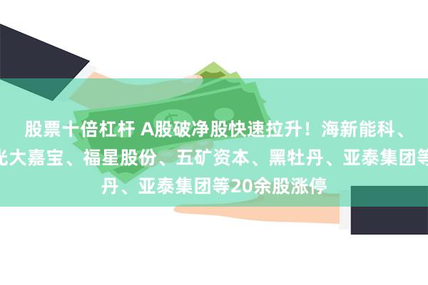 股票十倍杠杆 A股破净股快速拉升！海新能科、中南股份、光大嘉宝、福星股份、五矿资本、黑牡丹、亚泰集团等20余股涨停