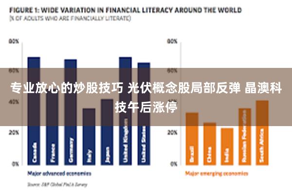 专业放心的炒股技巧 光伏概念股局部反弹 晶澳科技午后涨停