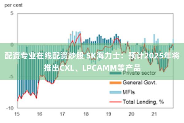 配资专业在线配资炒股 SK海力士：预计2025年将推出CXL、LPCAMM等产品