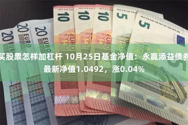 买股票怎样加杠杆 10月25日基金净值：永赢添益债券最新净值1.0492，涨0.04%