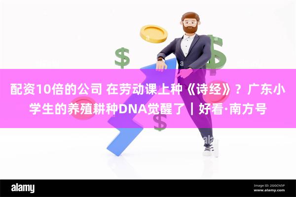 配资10倍的公司 在劳动课上种《诗经》？广东小学生的养殖耕种DNA觉醒了｜好看·南方号