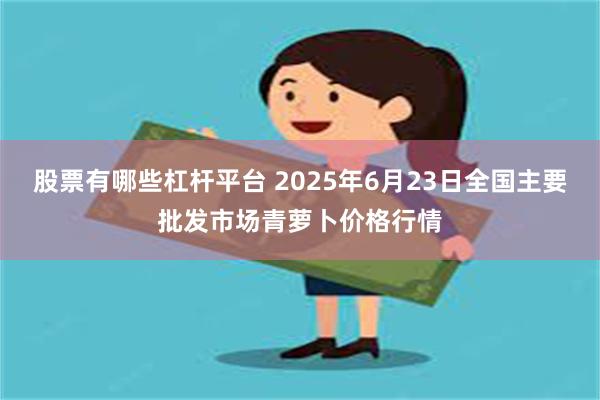 股票有哪些杠杆平台 2025年6月23日全国主要批发市场青萝卜价格行情